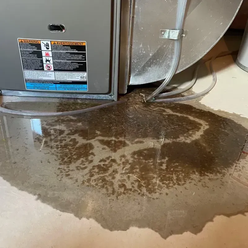 Appliance Leak Cleanup in Carter County, OK